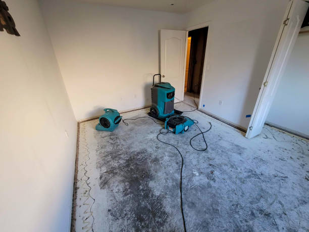 Best Flood restoration services  in Taunton, MA