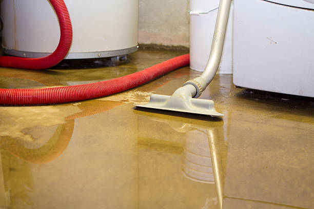 Best Water damage repair service  in Taunton, MA