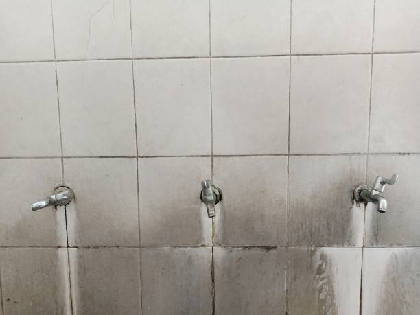 Best Emergency water damage restoration  in Taunton, MA
