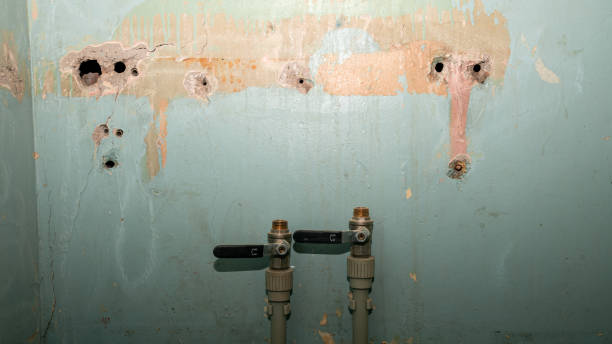 Best Commercial water damage restoration  in Taunton, MA