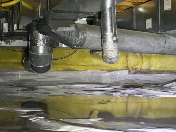 Best Flood damage cleanup  in Taunton, MA